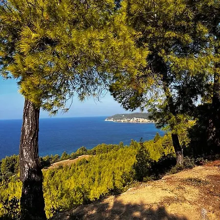 Cactus House فيلة Elani