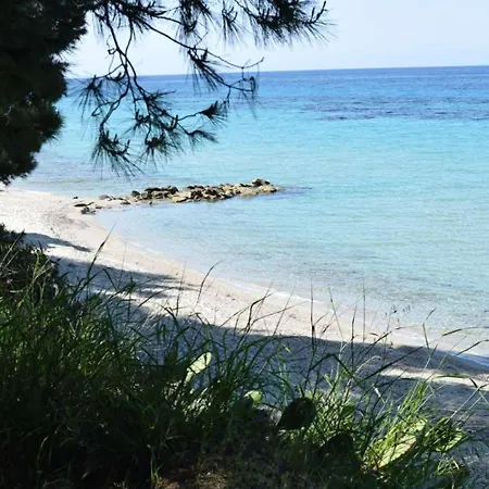 فيلة Cactus House *