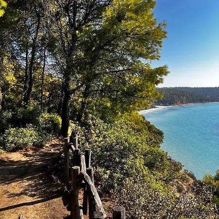 فيلة Cactus House Elani