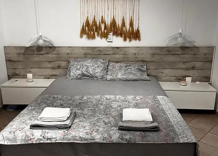 Cactus House Вилла