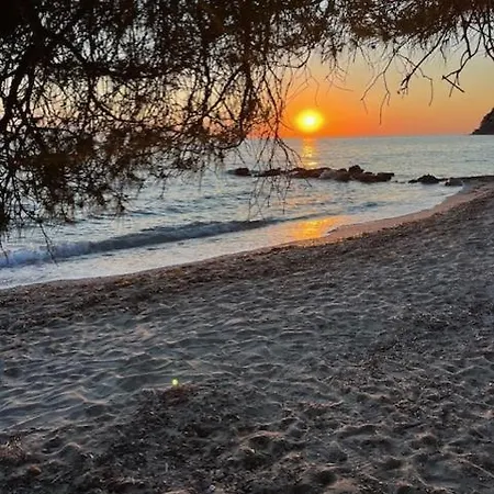 Villa Cactus House *