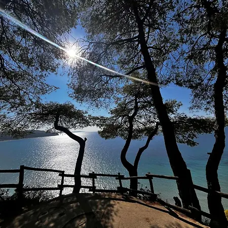 Cactus House 别墅 Elani