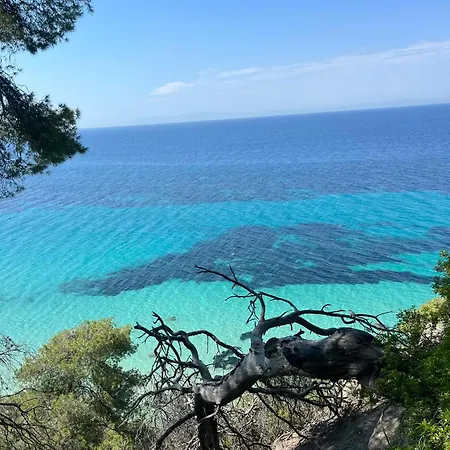 别墅 Cactus House *